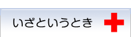 いざというとき休日夜間緊急担当医