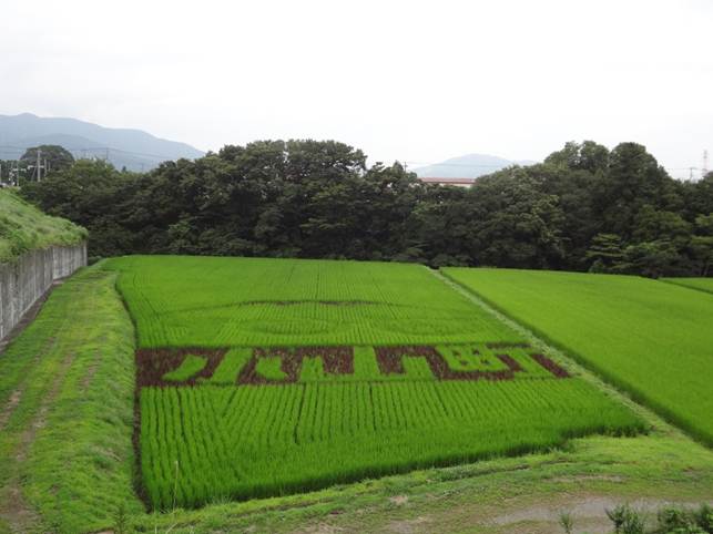 8月13日（月）.jpg