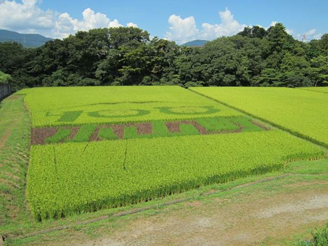 8月27日（月）.jpg