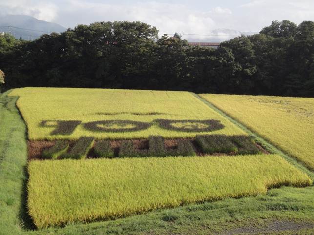 9月17日（月・祝）.jpg