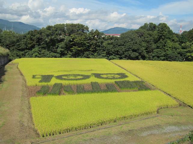 9月24日（月）.jpg