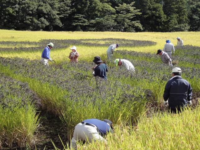 9月27日（木）.jpg