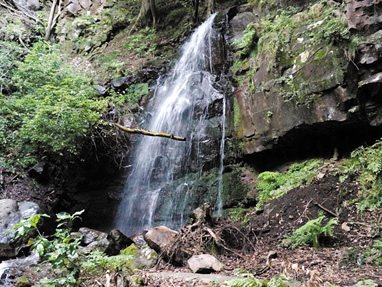 静岡県小山町頼光対面の滝