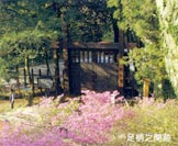 足柄之関（足柄峠）イメージ
