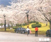 冨士霊園イメージ