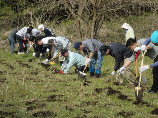 「日立ハイテクサイエンスの森」でススキ草地の再生活動