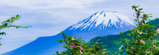 「富士箱根トレイル」の画像