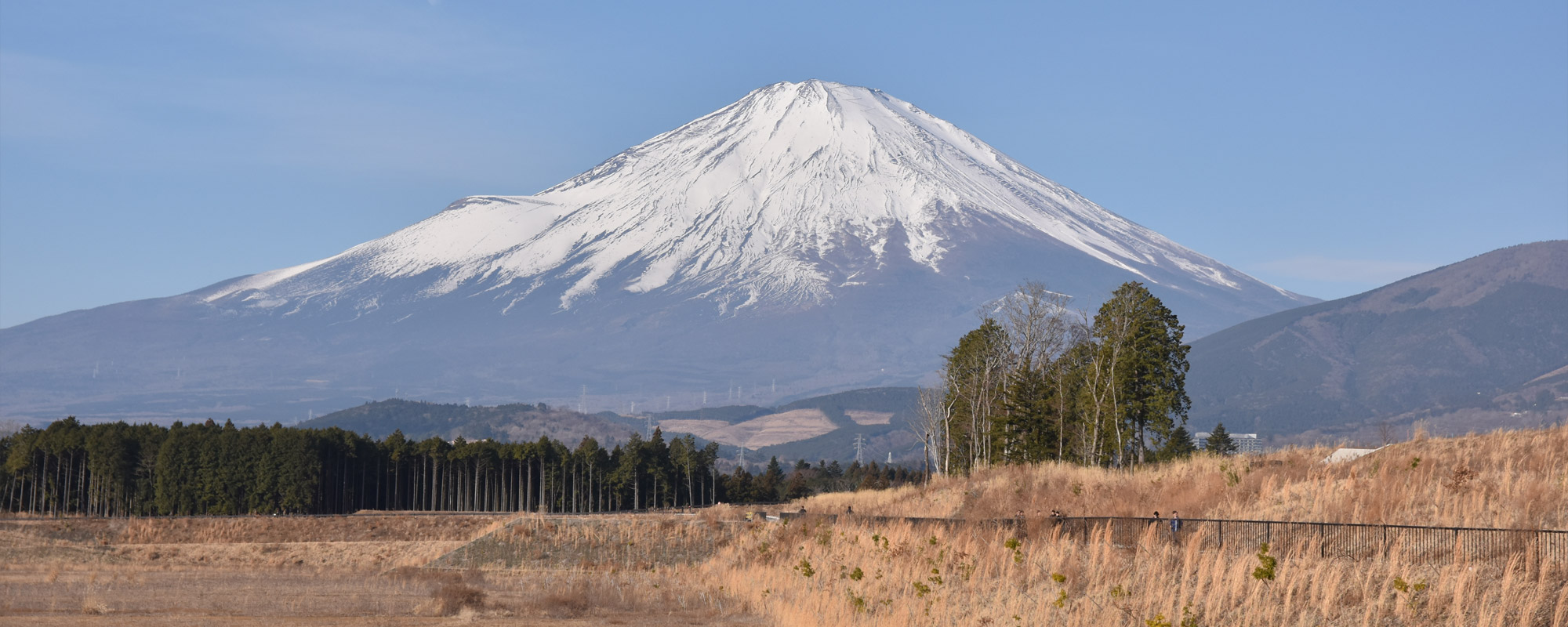 メイングラフィック