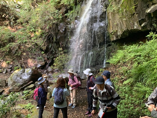 足柄・銚子ヶ淵コース写真