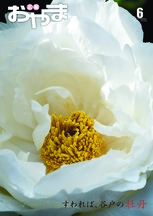 令和2年6月号 表紙