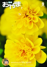 令和2年9月号 表紙