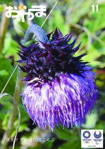 令和元年11月号 表紙