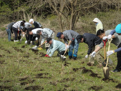 「日立ハイテクサイエンスの森」でススキ草地の再生活動の画像