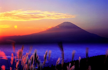 テスト画像その3