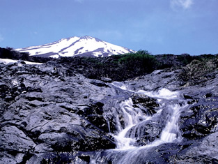 富士山と湧水の画像