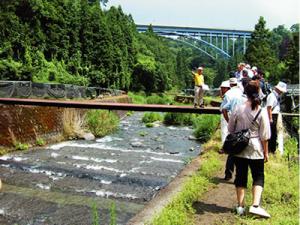 四季の旅人の写真