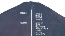 富士山の動物の分布図