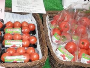 金太郎トマトイメージ