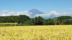 バイオマス産業都市構想表紙
