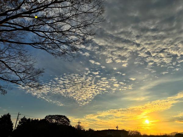 夕焼けと散歩