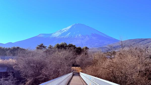 久しぶりに雪が積もった富士山