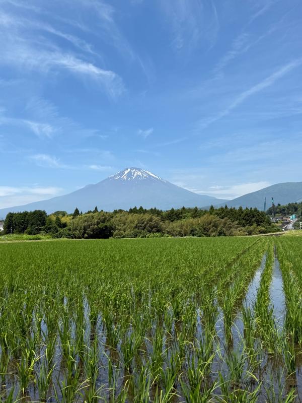 富士に見守られて
