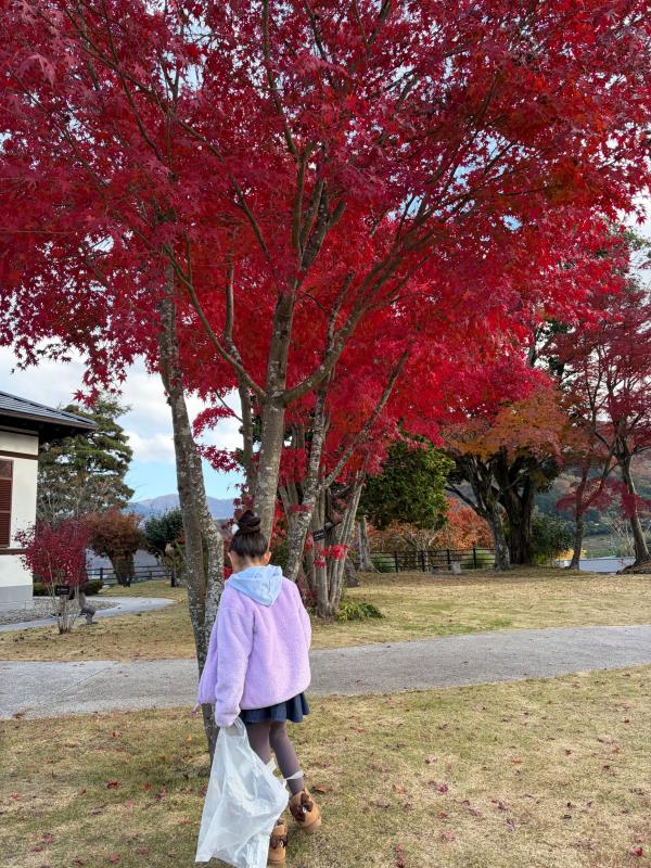どんぐりみつけたよ