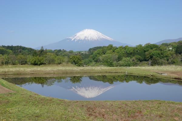 田植え前のごほうび
