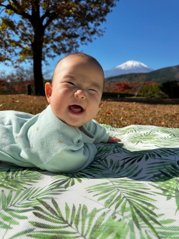 僕と紅葉と富士山