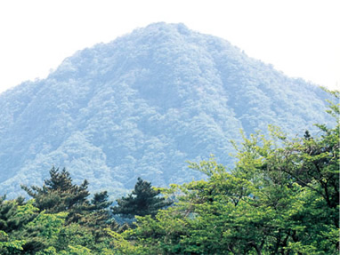 足柄峠イメージ