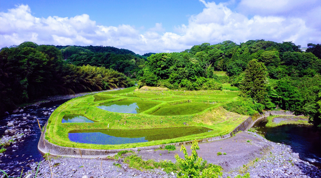 スライドショー1